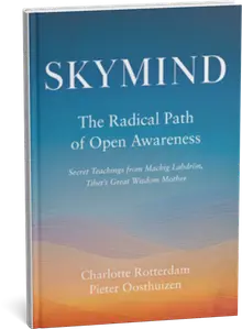 Skymind, in the Dakini Store (opens in a new tab)