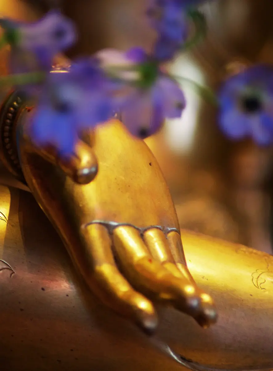 The gilded hand of a Buddha statue resting beside purple flowers