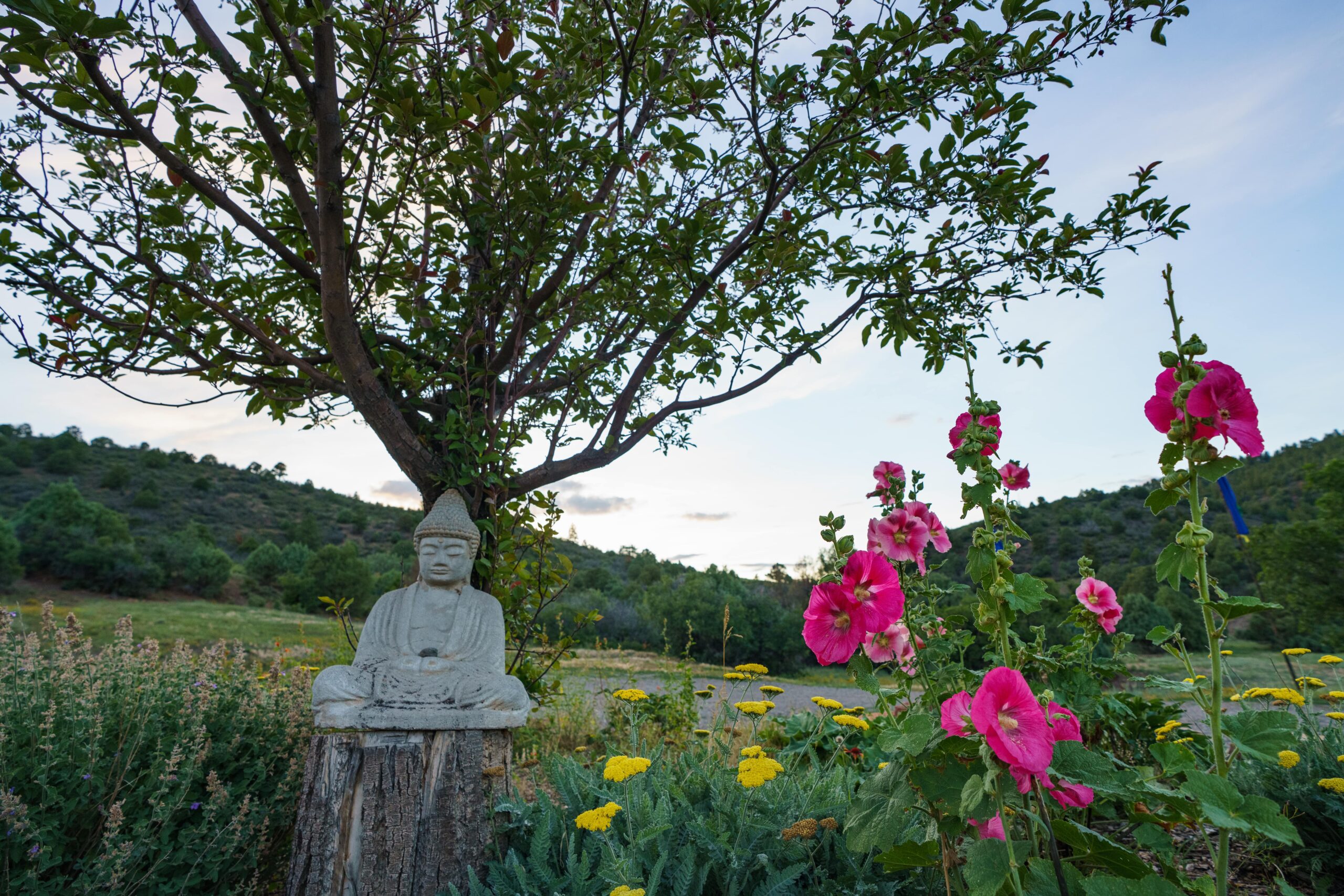 Green Tara Retreat 2022-min