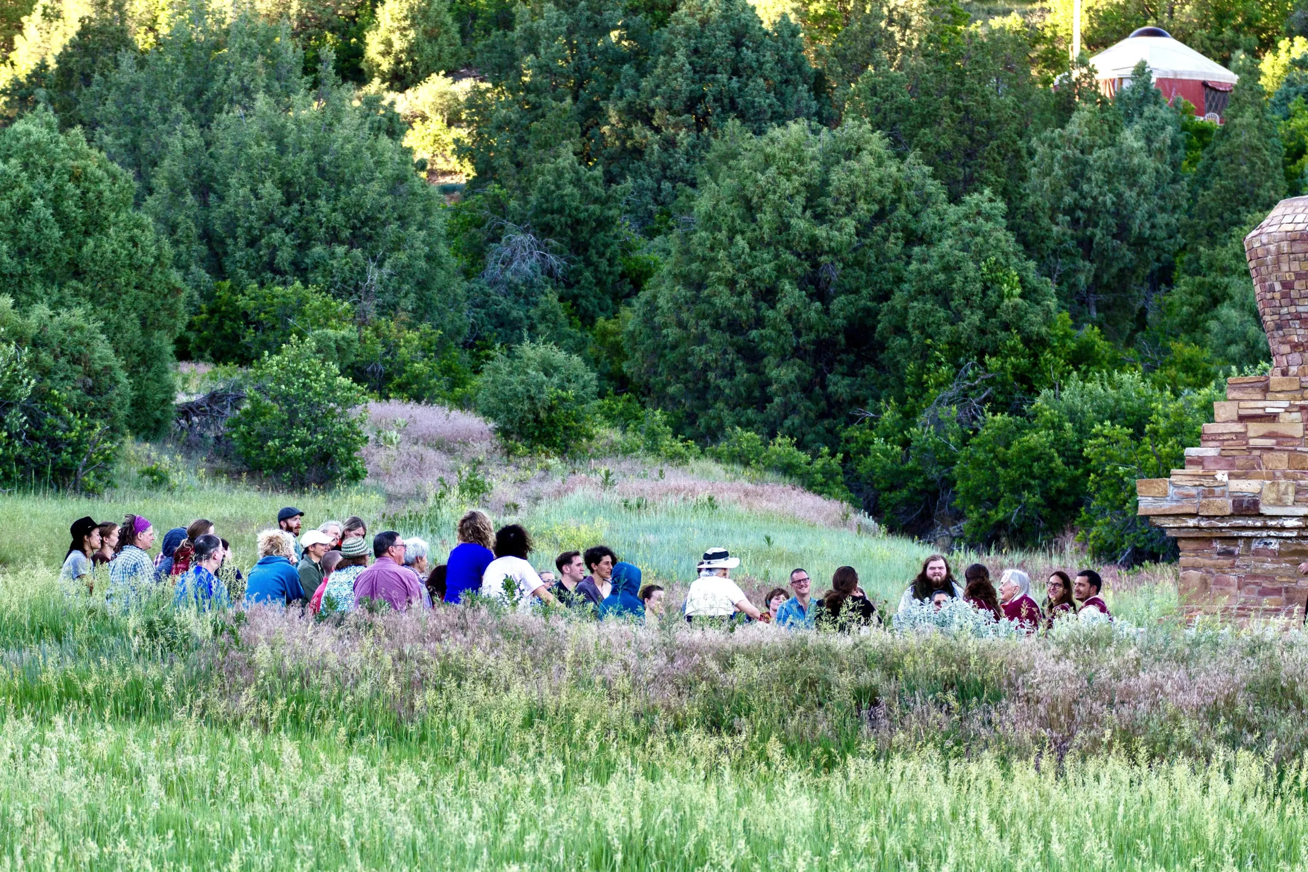 LDAP-field-by-stupa