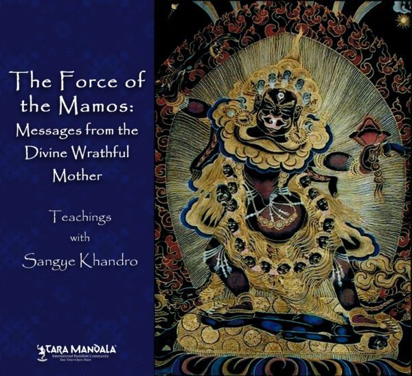 Force of the Mamos Tara Mandala