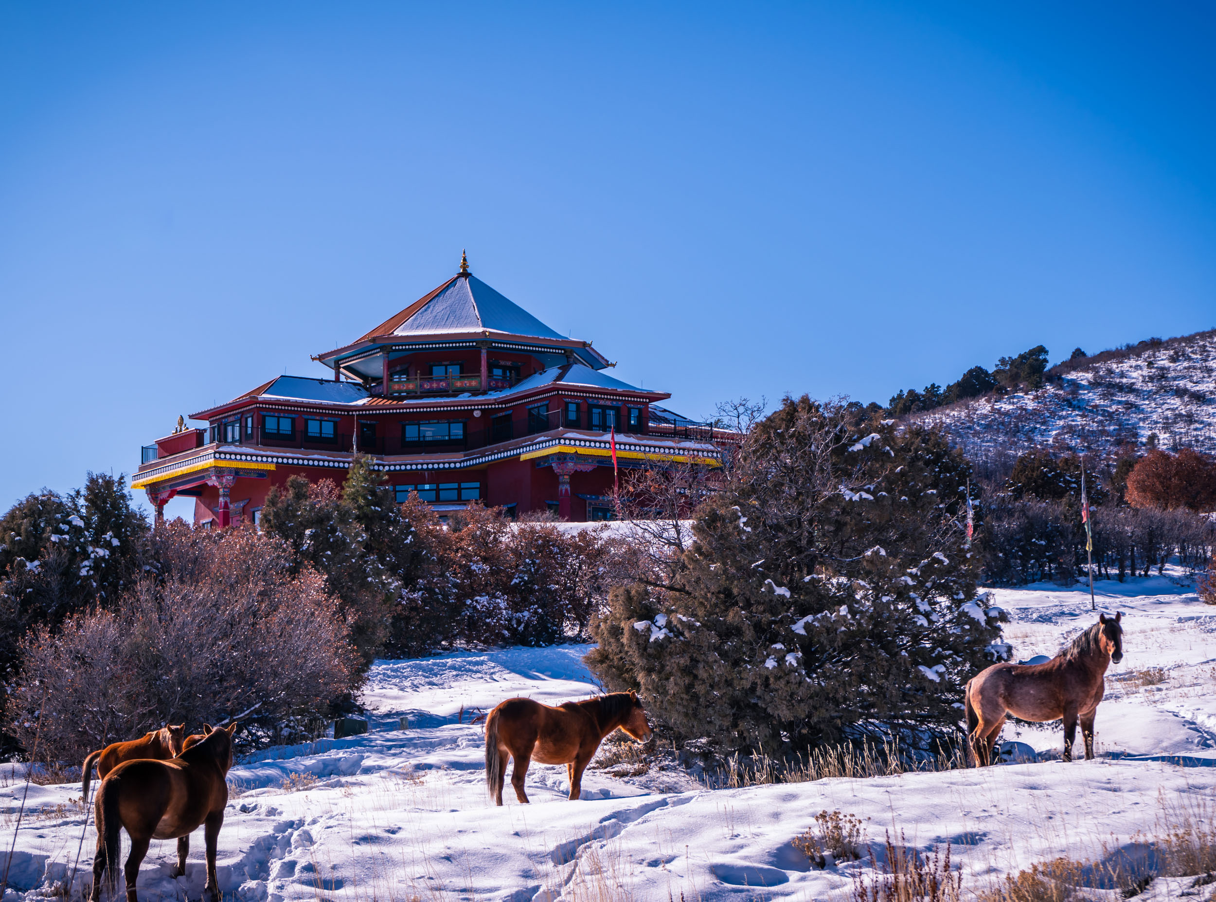 Temple_Horses