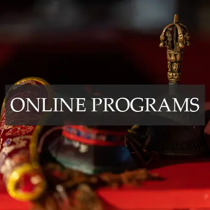 VR_Website Tile_Online Programs (2)